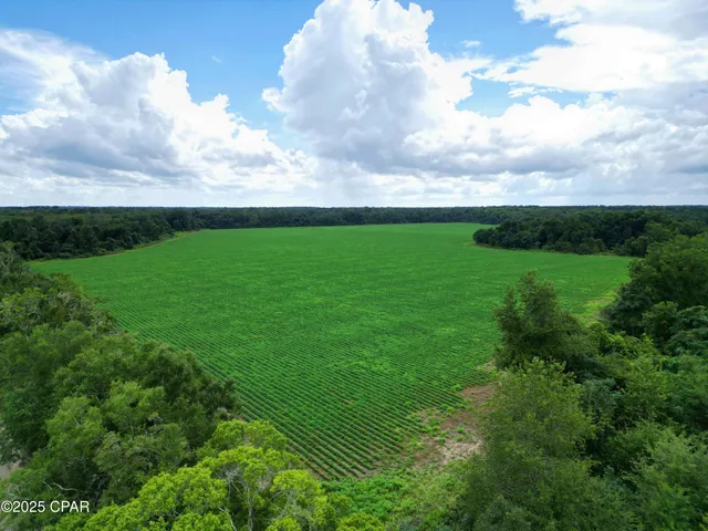 $659,000 | 0 Juniper Creek Road, Quincy, FL 32351