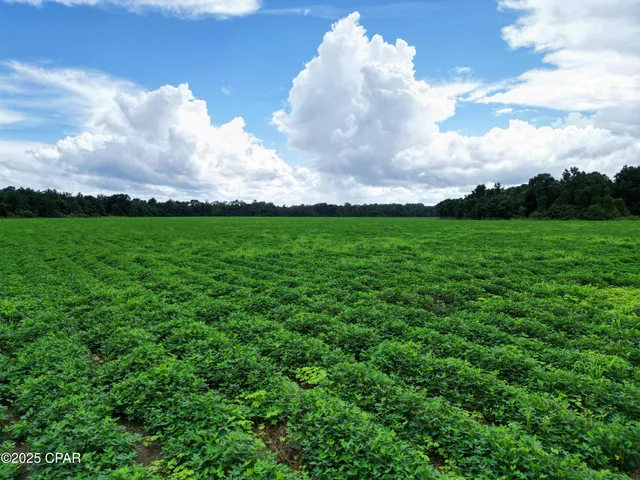 $659,000 | 0 Juniper Creek Road, Quincy, FL 32351