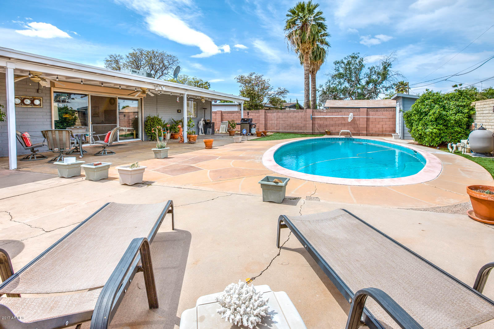 446 West Cheery Lynn Road Phoenix, AZ 85013 - Photo 28 of 31 Backyard and Pool