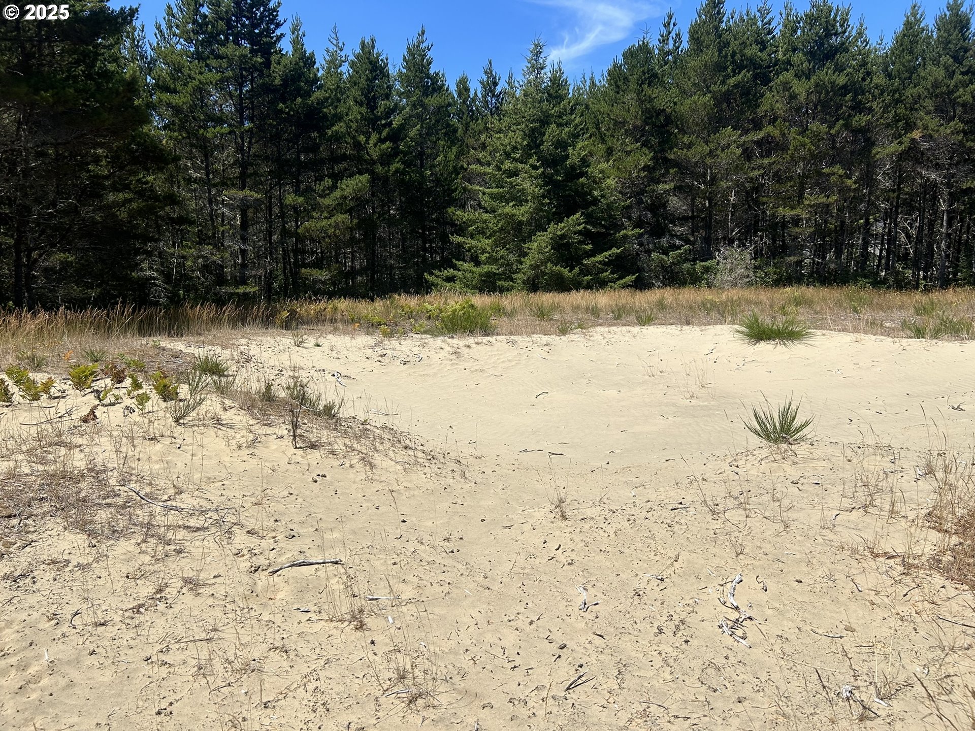 Bellevue Drive Florence, OR 97439 - Photo 13 of 34 a view of a yard covered in snow