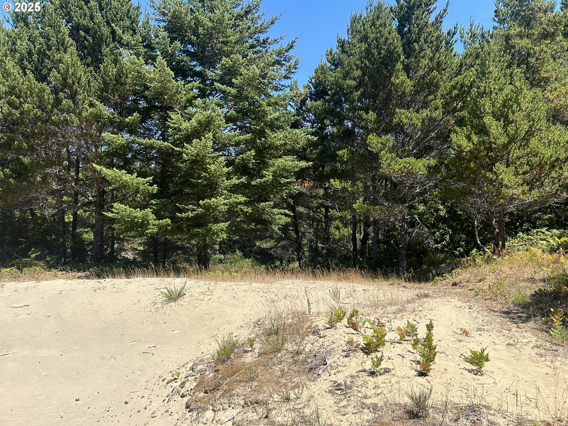 Bellevue Drive Florence, OR 97439 - Photo 21 of 34 a street view covered with snow