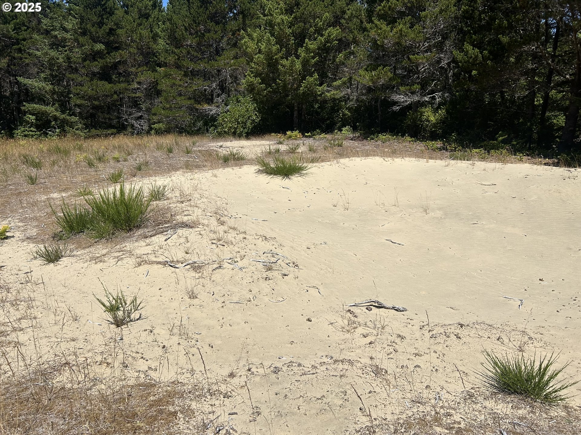 Bellevue Drive Florence, OR 97439 - Photo 22 of 34 a view of a yard covered in snow
