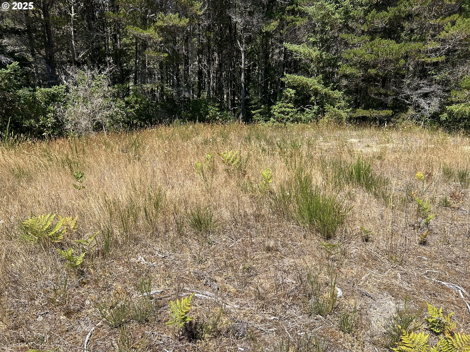 Bellevue Drive Florence, OR 97439 - Photo 23 of 34 a view of lake view