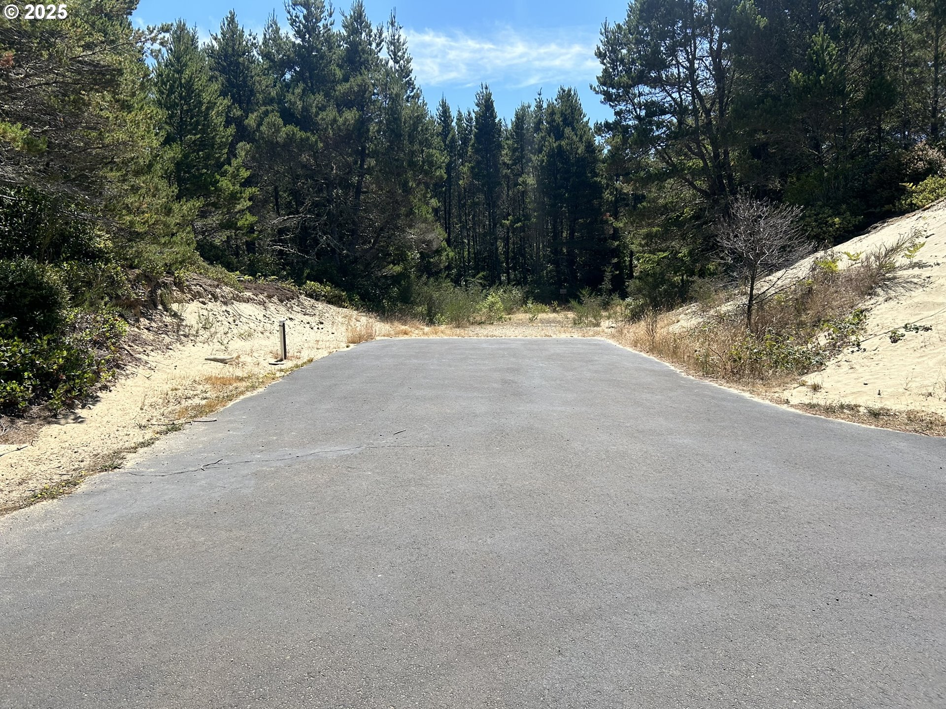 Bellevue Drive Florence, OR 97439 - Photo 3 of 34 a view of road and trees