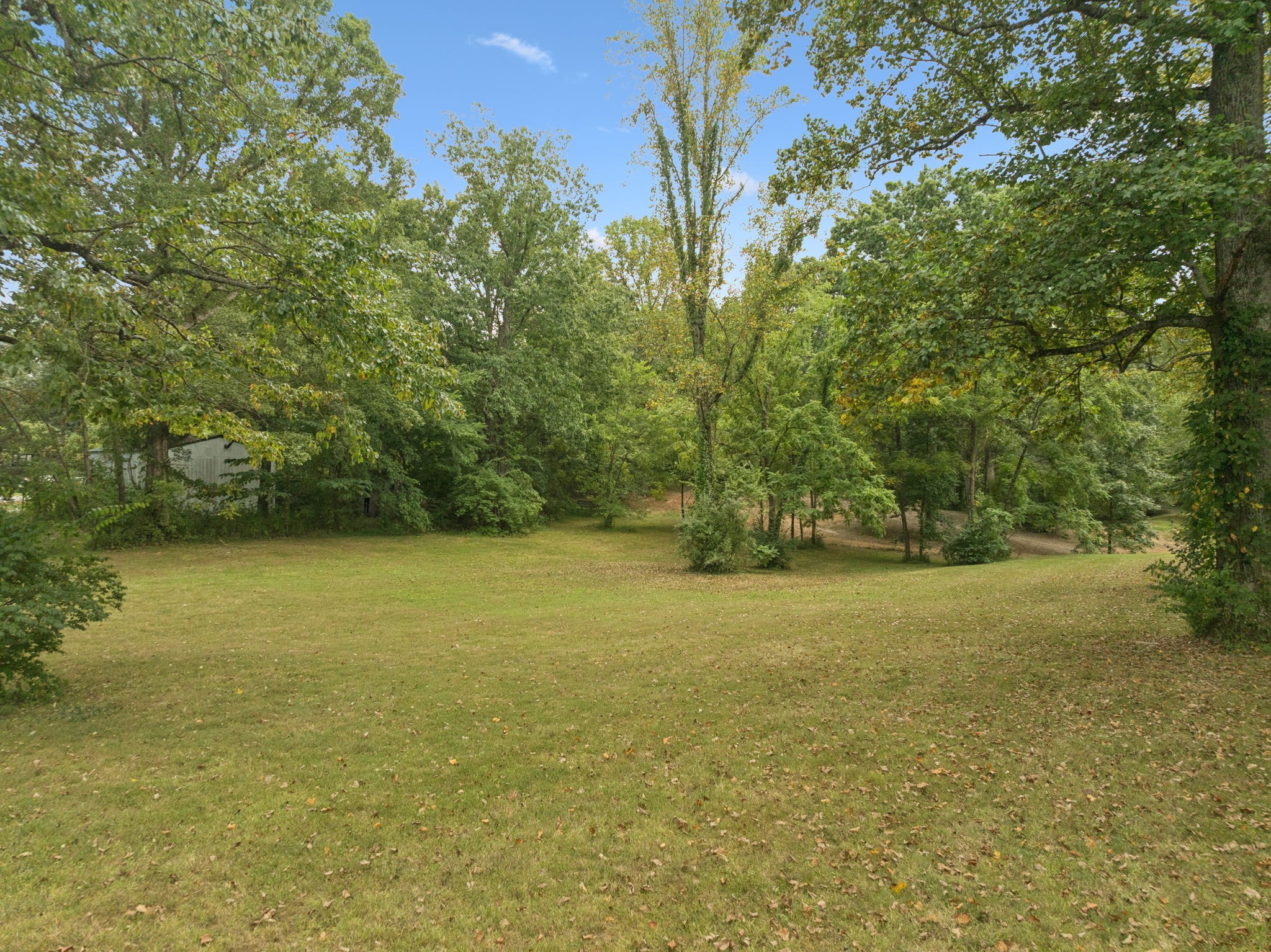 0 Dog Creek Road Primm Springs, TN 38476 - Photo 13 of 30 a view of a field with an trees