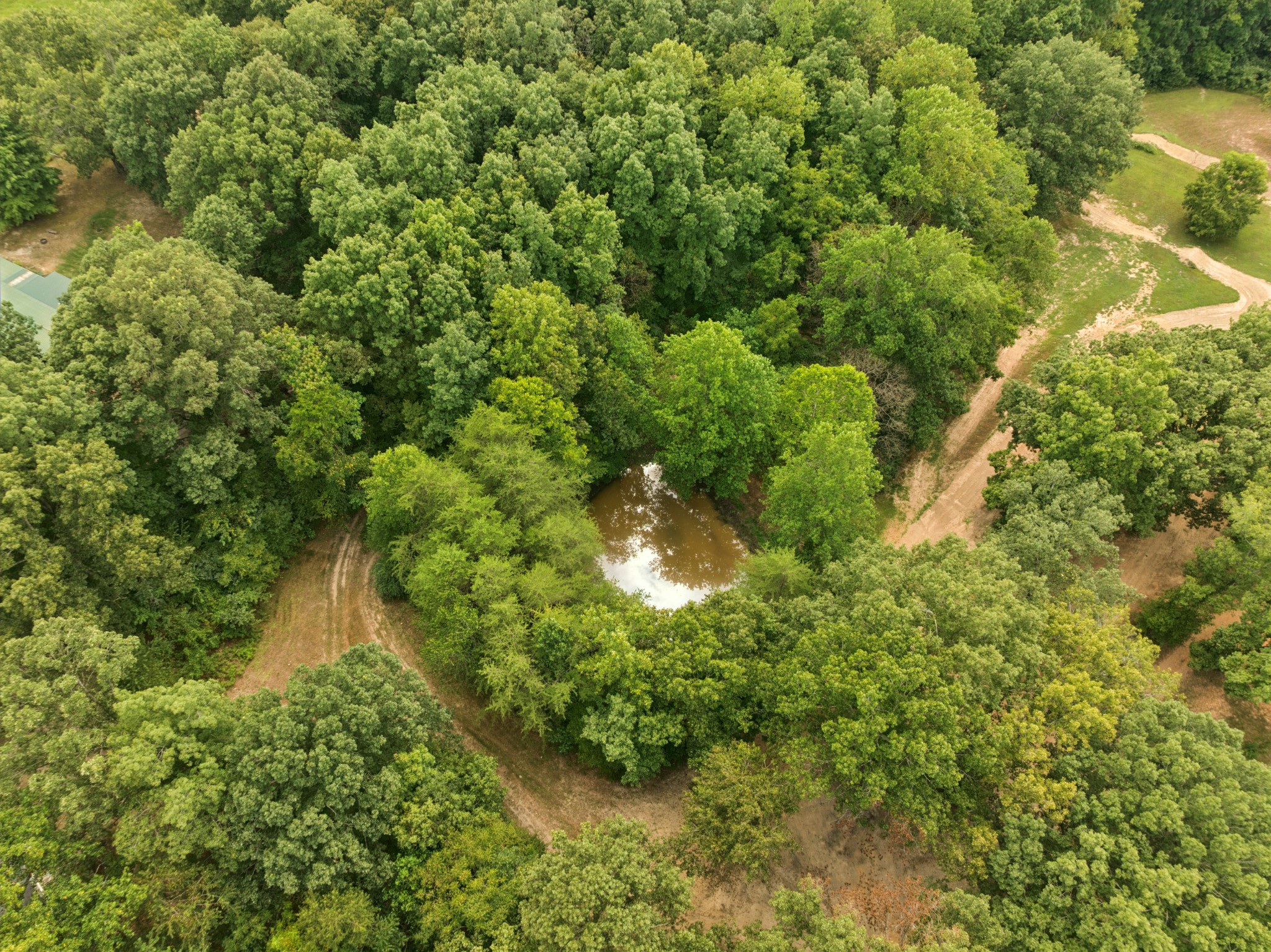 0 Dog Creek Road Primm Springs, TN 38476 - Photo 17 of 30 a backyard of a house with lots of green space