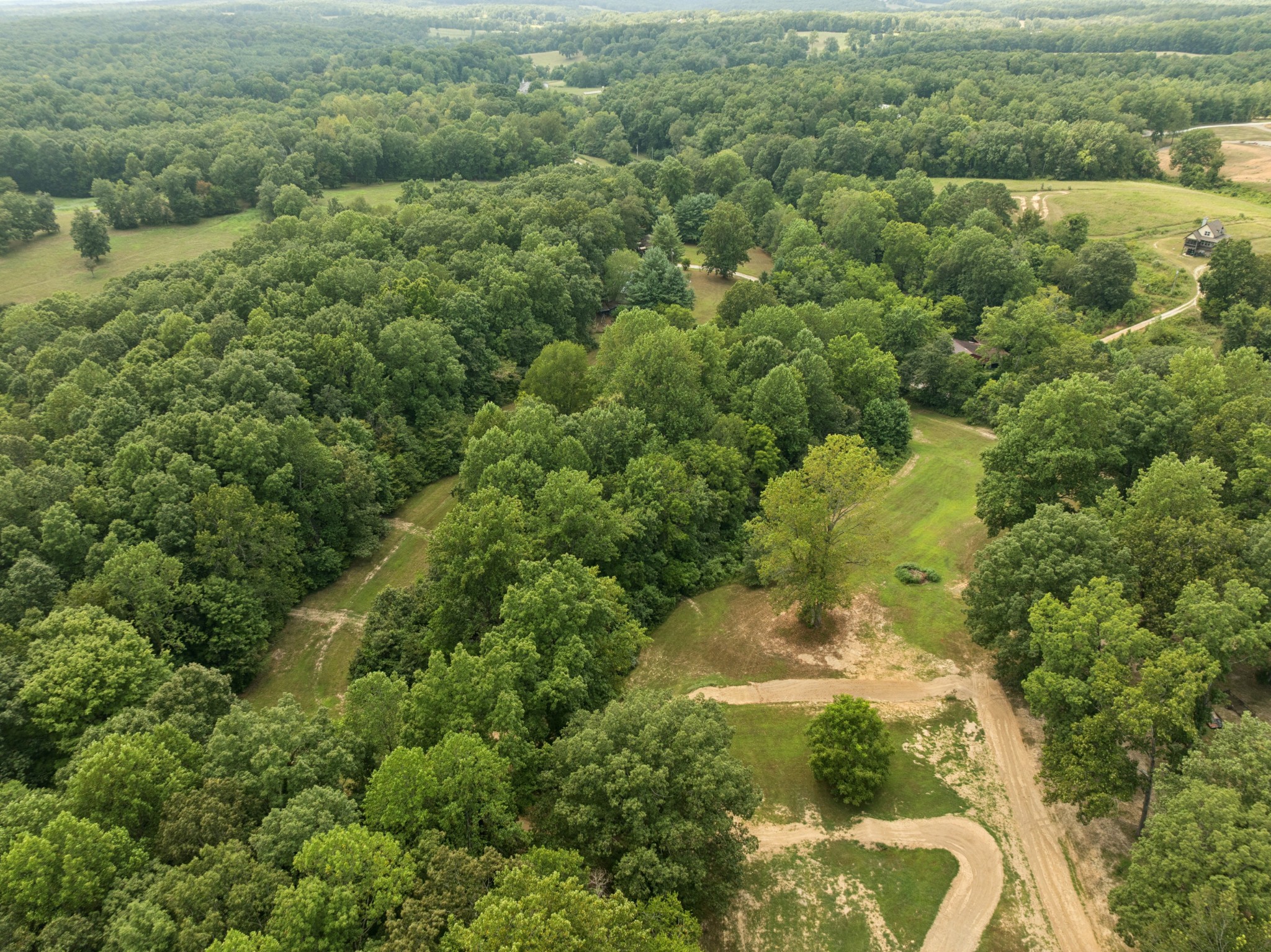 0 Dog Creek Road Primm Springs, TN 38476 - Photo 20 of 30 a view of a forest with a street
