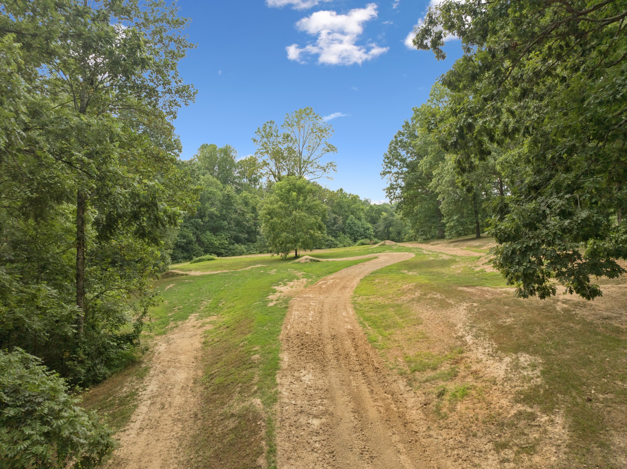 0 Dog Creek Road Primm Springs, TN 38476 - Photo 25 of 30 a view of a lake with a yard