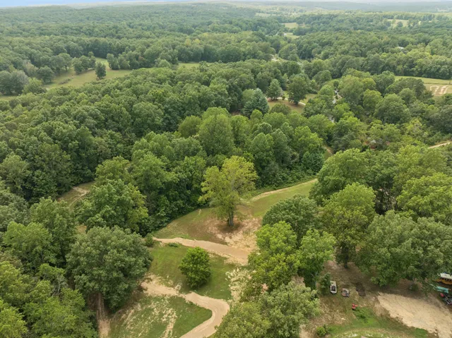 an aerial view of residential houses with outdoor space and trees