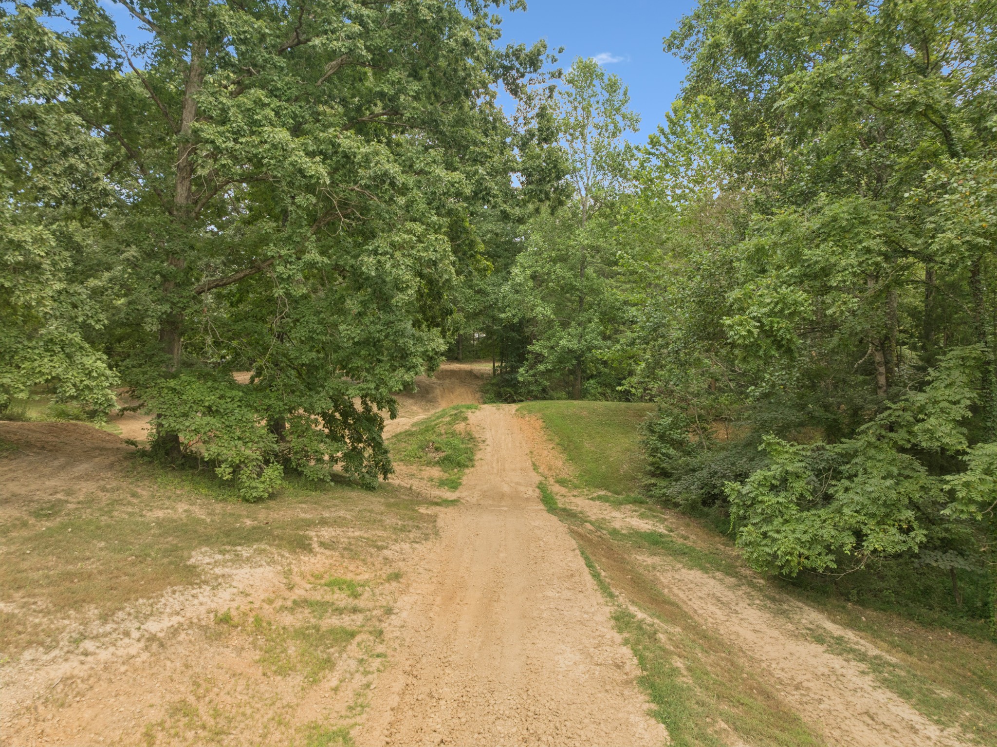 0 Dog Creek Road Primm Springs, TN 38476 - Photo 7 of 30 a view of a yard with an outdoor space