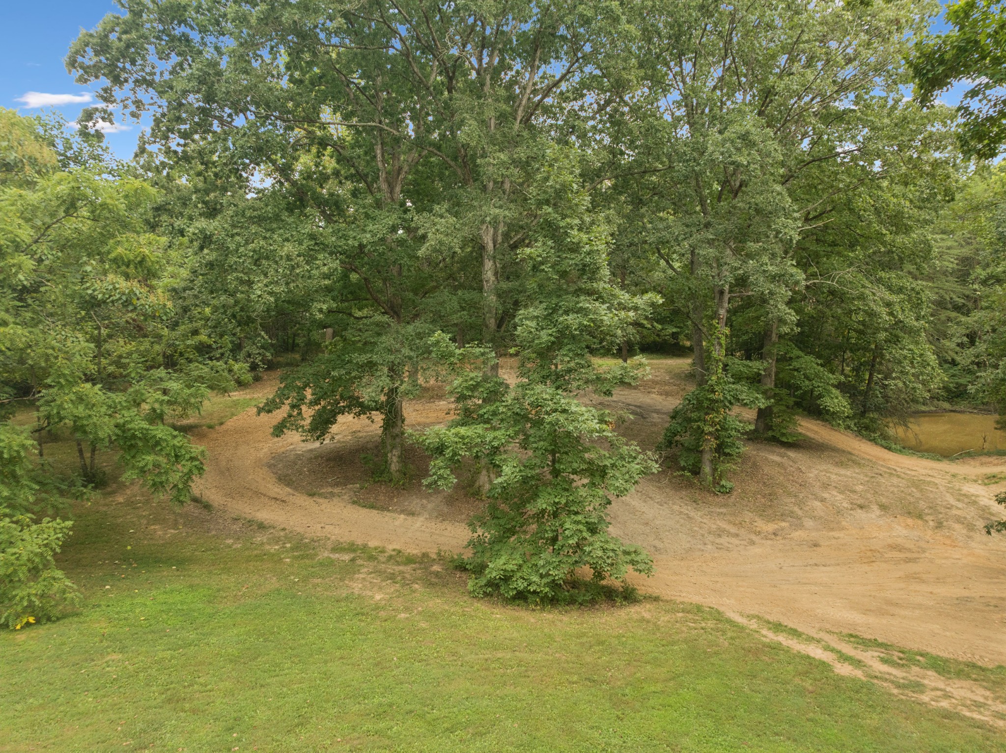 0 Dog Creek Road Primm Springs, TN 38476 - Photo 8 of 30 a view of a yard with a tree