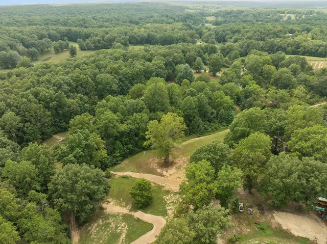 an aerial view of residential houses with outdoor space and trees