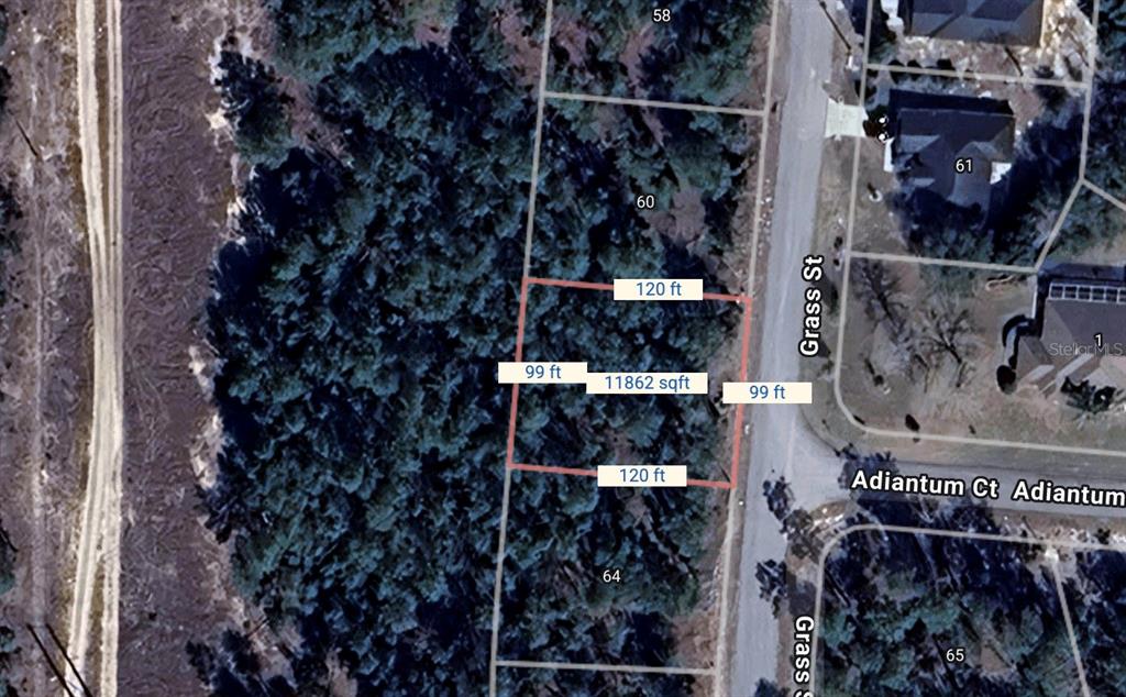 62 Grass Street Homosassa, FL 34446 - Photo 1 of 1