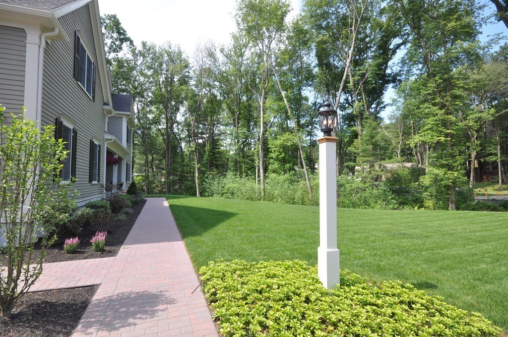 3 Irene Road Bedford, MA 01730 - Photo 3 of 26 a front view of a house with garden