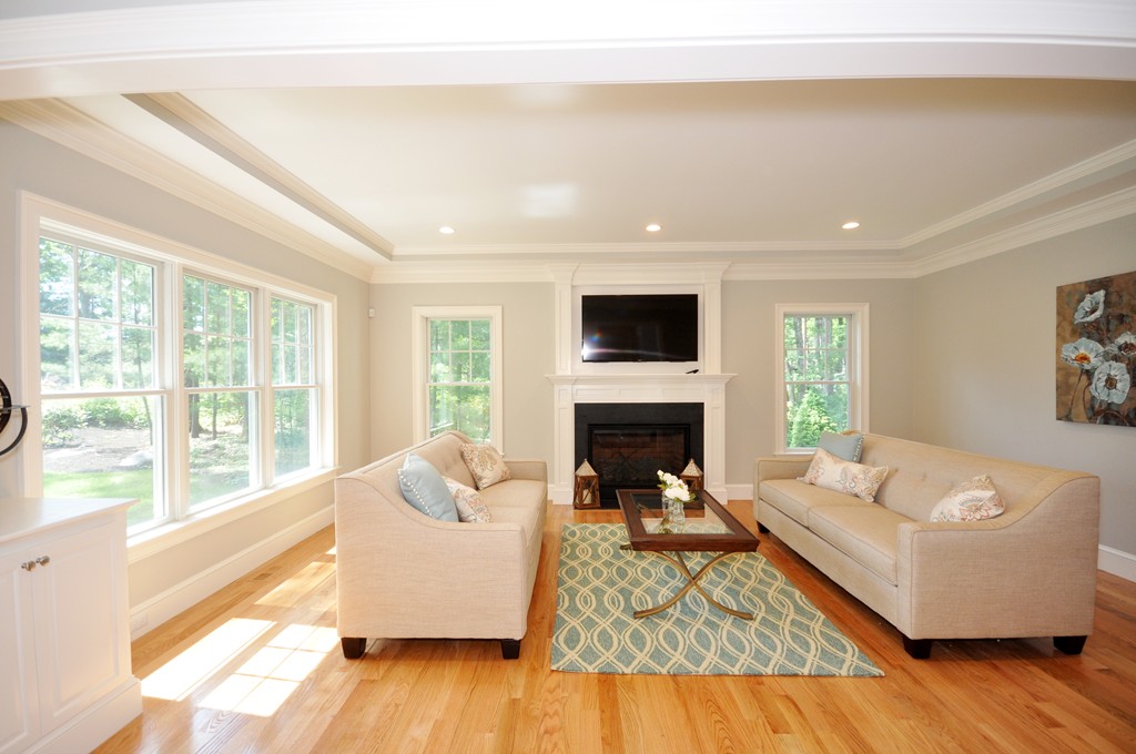 3 Irene Road Bedford, MA 01730 - Photo 8 of 26 a living room with furniture and a fireplace