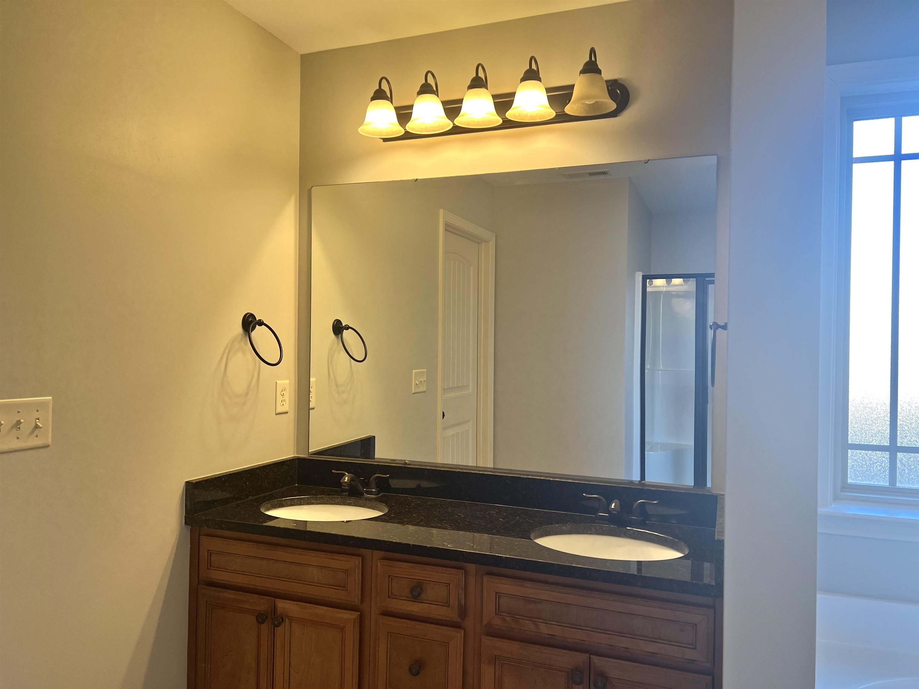 172 Castleton Circle Boiling Springs, SC 29316 - Photo 23 of 39