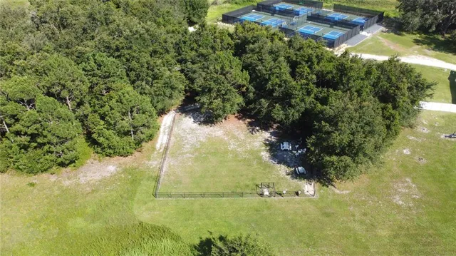 a view of yard with green space