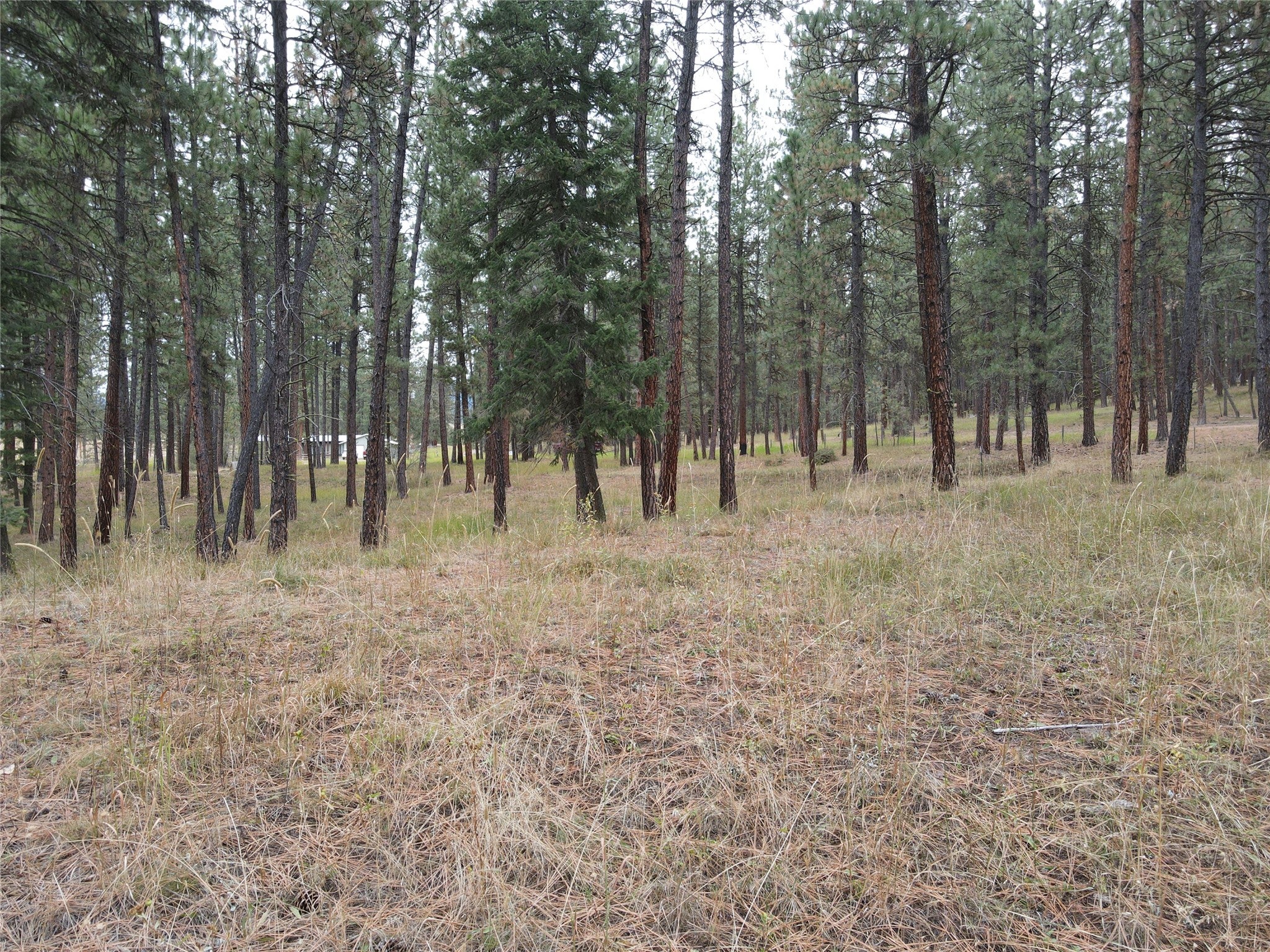 21481 9 Mile Road Huson, MT 59846 - Photo 32 of 43 Gallery Image 32