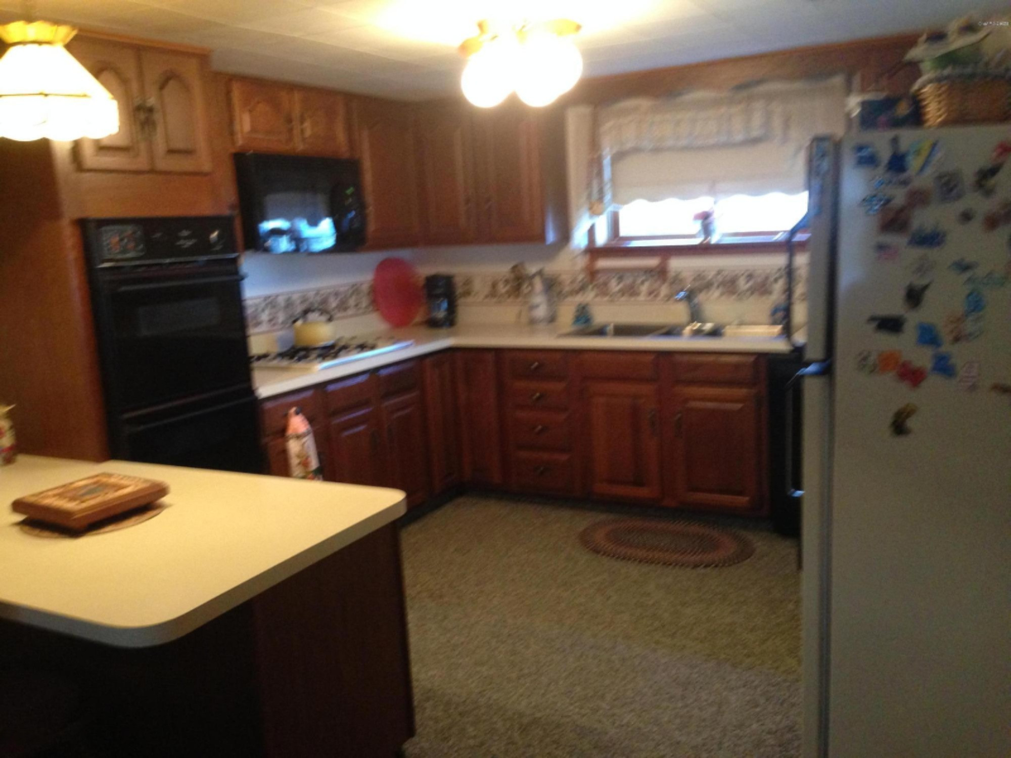 2691 Hemlock Road Quincy, MI 49082 - Photo 14 of 30 Kitchen