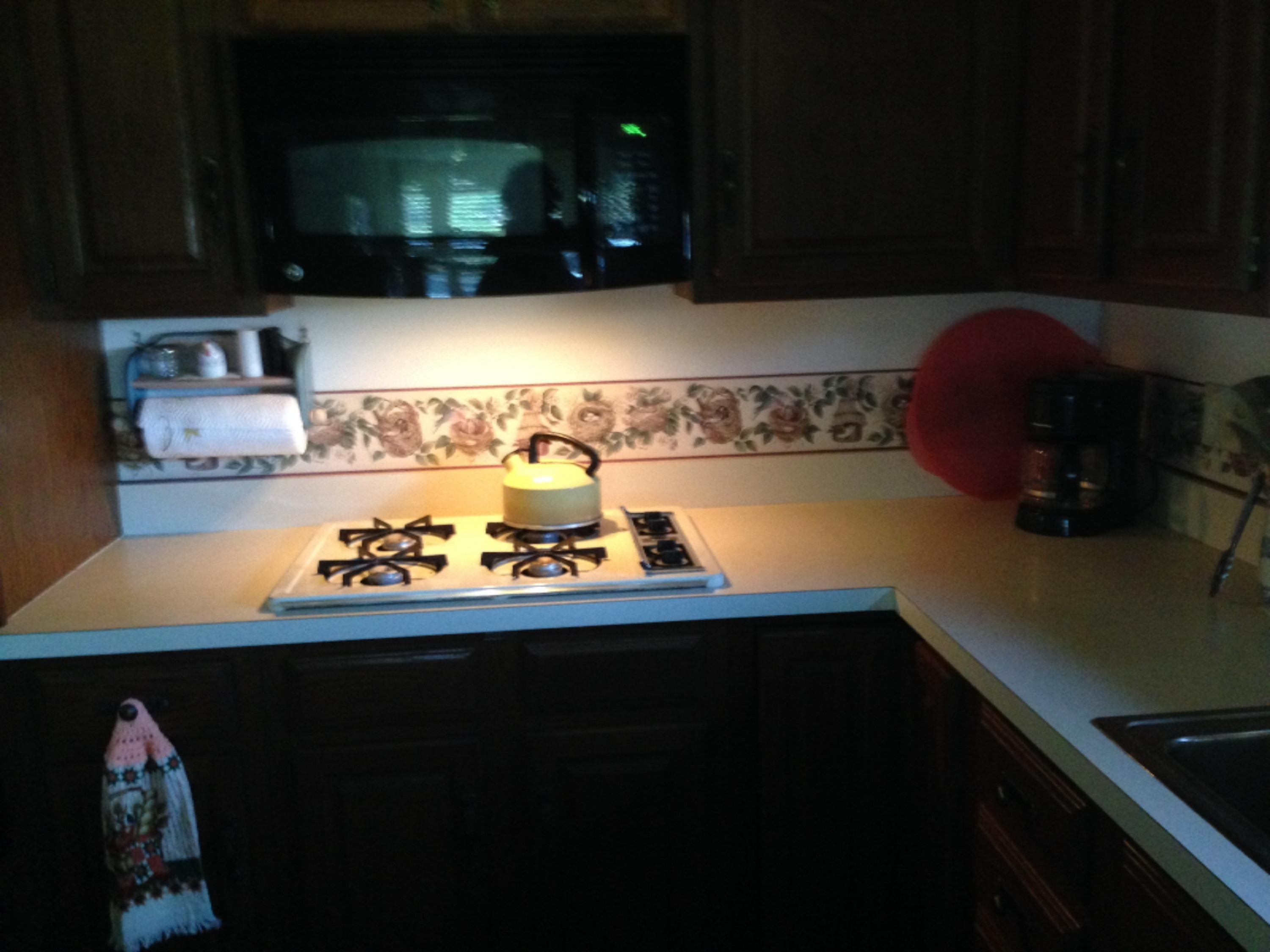 2691 Hemlock Road Quincy, MI 49082 - Photo 16 of 30 Kitchen