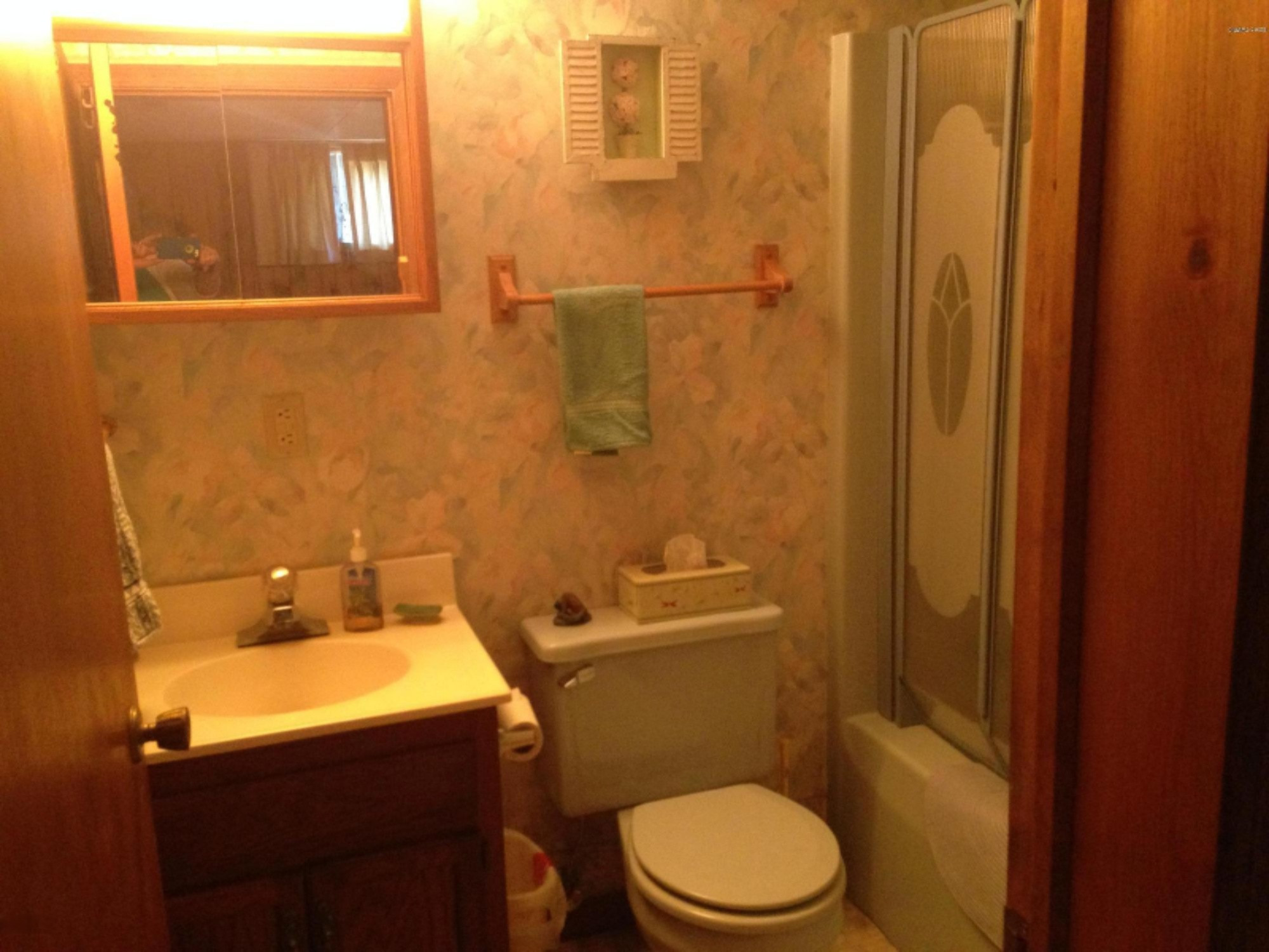 2691 Hemlock Road Quincy, MI 49082 - Photo 18 of 30 Lower Level Bathroom