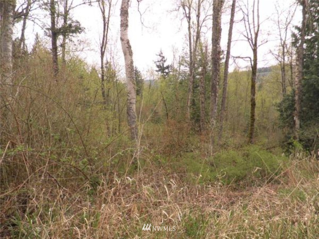 4604 Anderson Way Bellingham, WA 98226 - Photo 23 of 24 Gallery Image 23