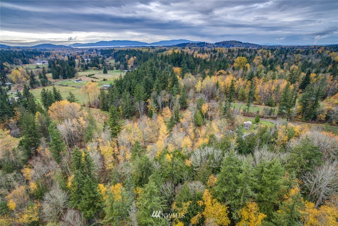 4604 Anderson Way Bellingham, WA 98226 - Photo 8 of 24 Gallery Image 8