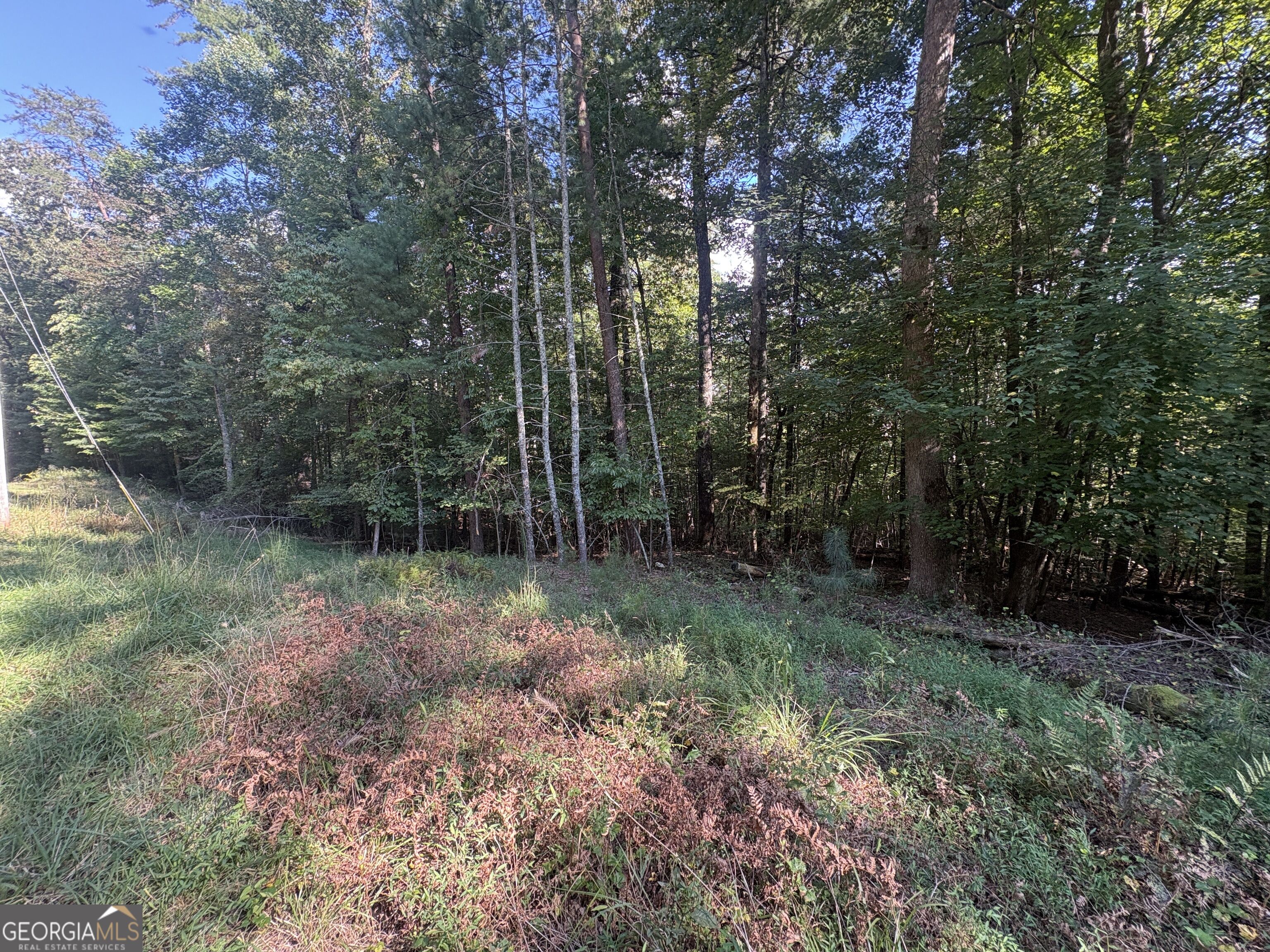 0 Macedonia Church Road Blue Ridge, GA 30513 - Photo 7 of 7 Gallery Image 7