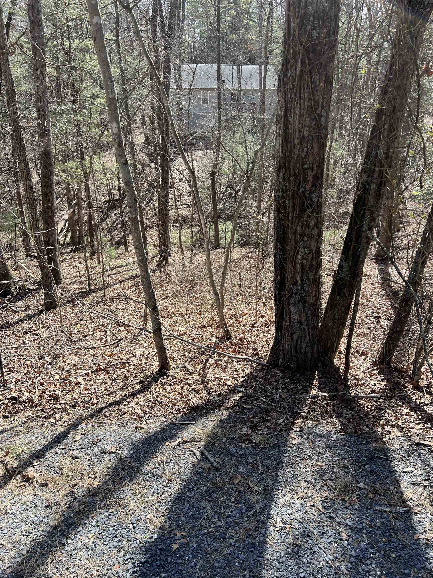 0 Bitternut Lane Mount Jackson, VA 22842 - Photo 8 of 8 a view of a yard with large trees