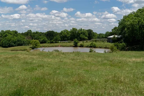 a view of three trees in a field