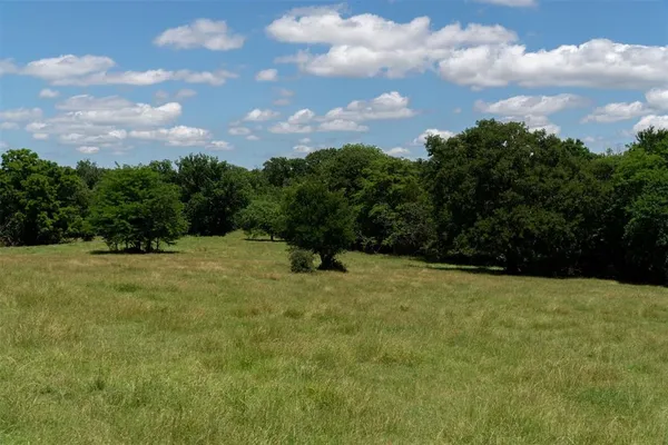 a view of a grassy field with trees in the background