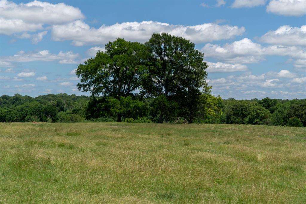 248 Shaffer Road Denison, TX 75021 - Photo 36 of 39 a view of outdoor space with field and trees in the background