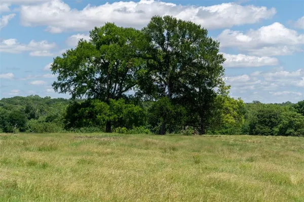 a view of a yard with large trees