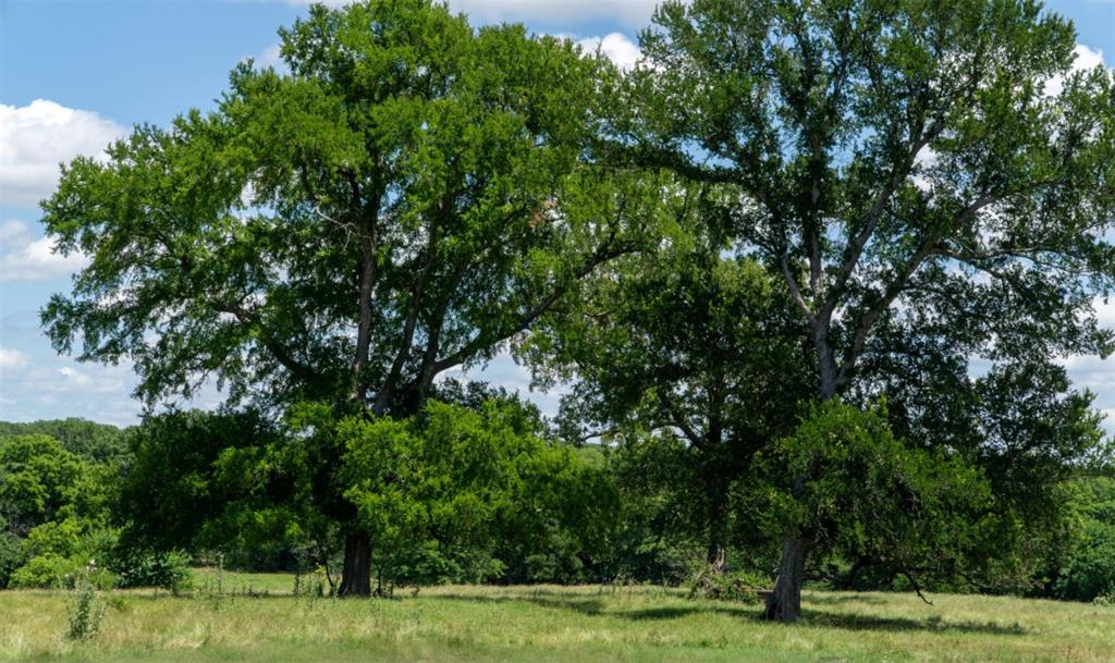 248 Shaffer Road Denison, TX 75021 - Photo 38 of 39 a view of a yard with large trees