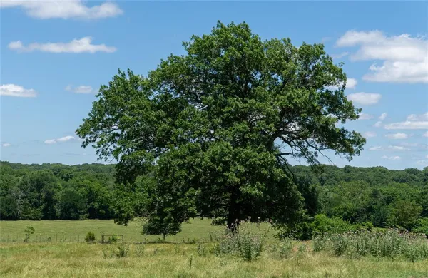 $825,000 | 248 Shaffer Road, Denison, TX 75021