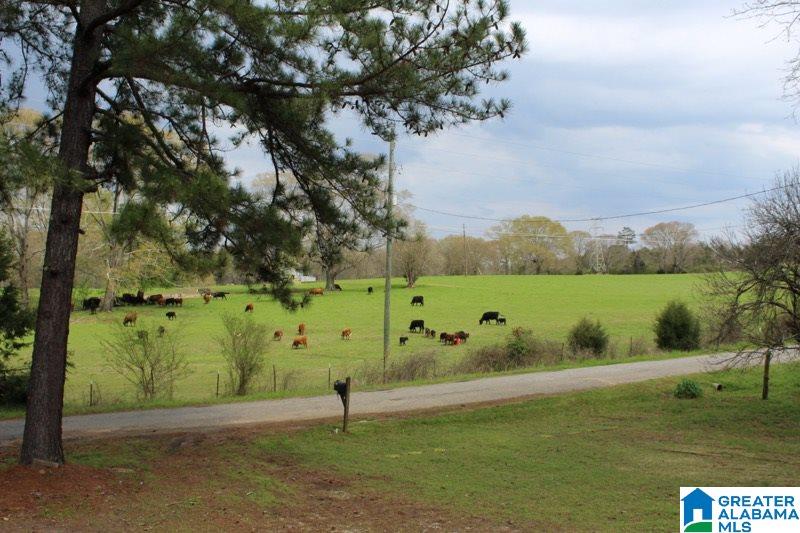 481 Truss Ferry Road Lincoln, AL 35096 - Photo 24 of 28