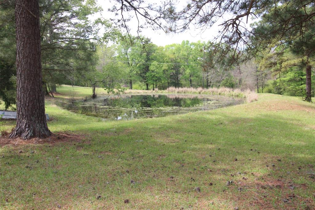 314 Dilly Road Mooringsport, LA 71060 - Photo 7 of 37 Nice sized stocked pond on the property. There is plenty of room if you wanted to enlarge the pond.