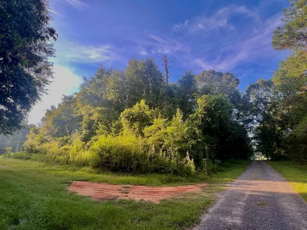 $5,000 | Nhn George Bilbo Road, Lumberton, MS 39455