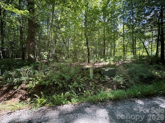 Tbd Blossom Road Brevard, NC 28712 - Photo 8 of 8 Gallery Image 8