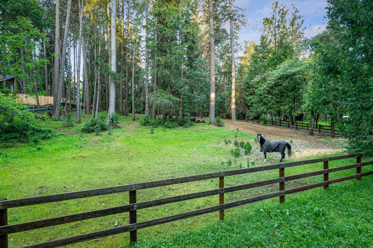 15188 North Bloomfield Road Nevada City, CA 95959 - Photo 66 of 73