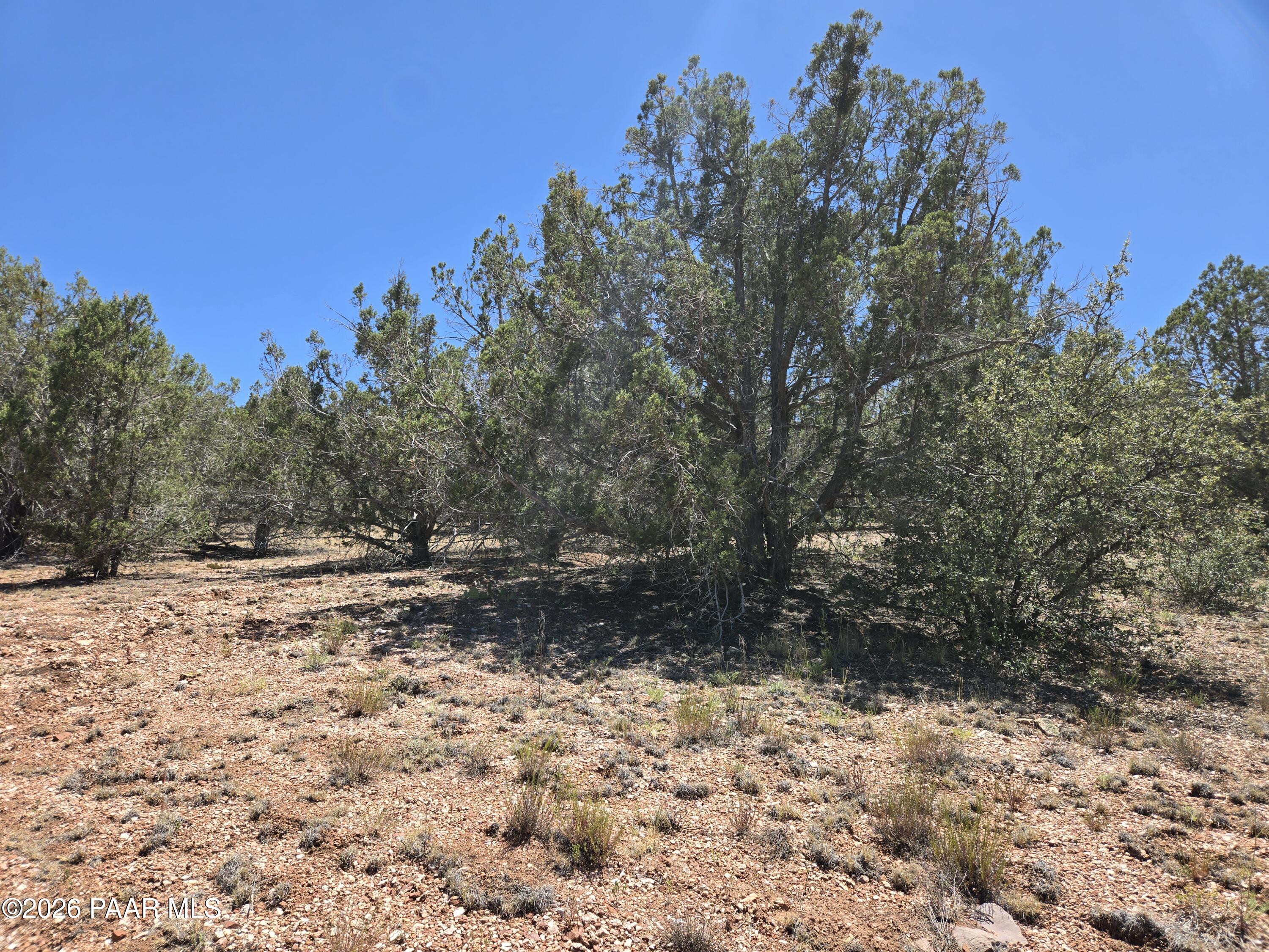 450 Arizona Road Ash Fork, AZ 86320 - Photo 10 of 16 20260629_135723