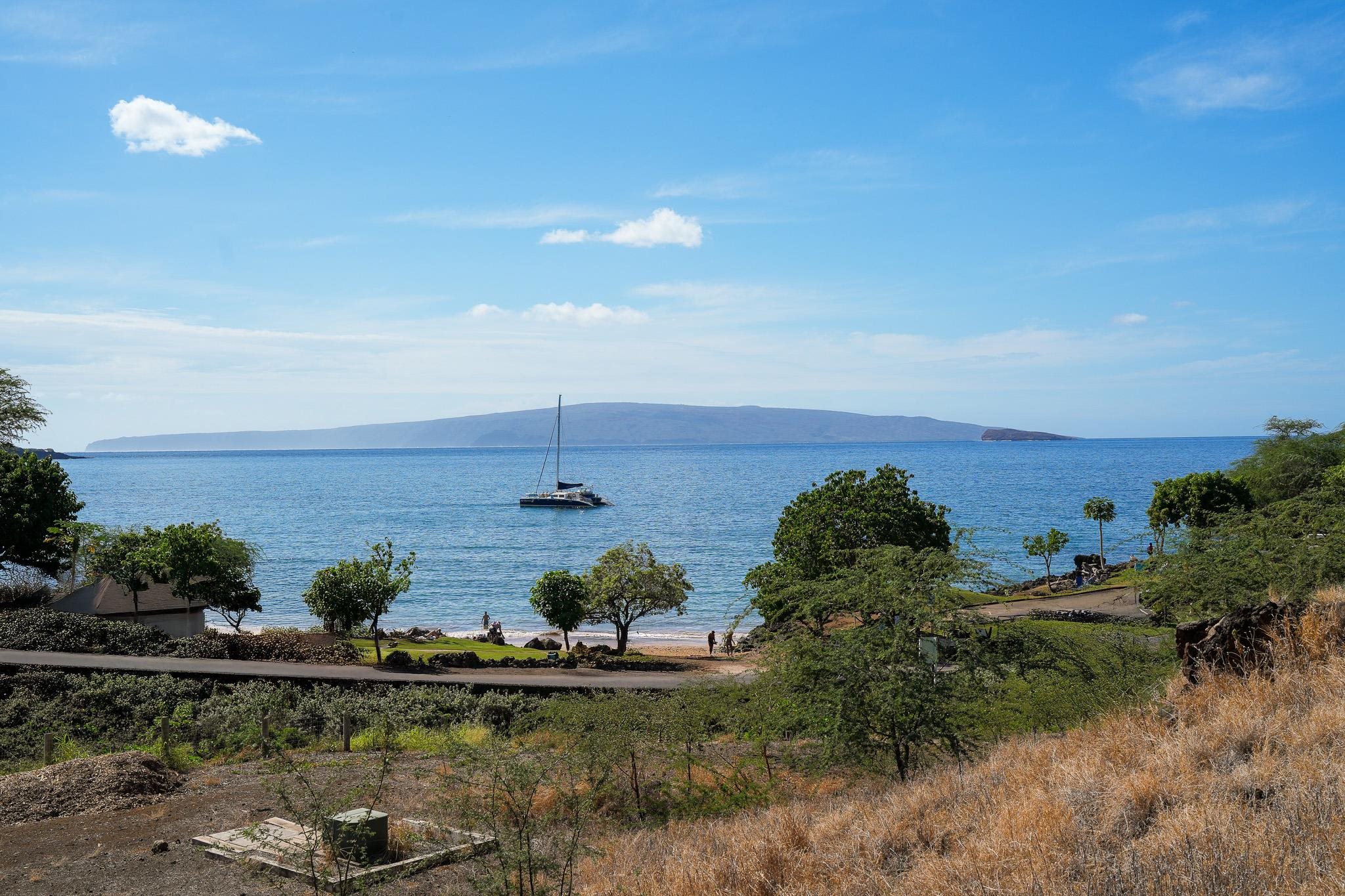 a view of a lake in middle of forest