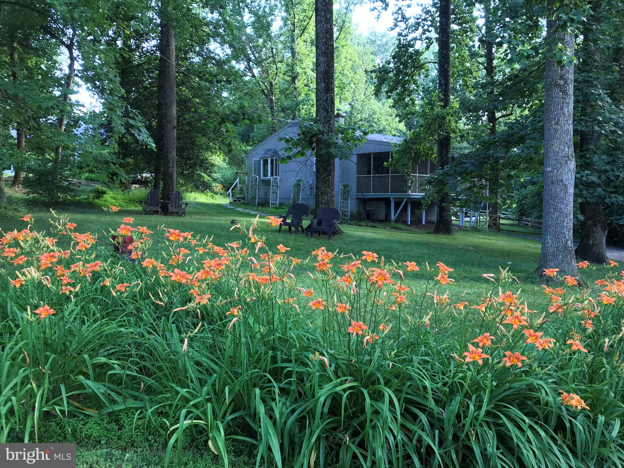 96 Tower Point Road Chesapeake City, MD 21915 - Photo 1 of 30 View from Street Side in Summer