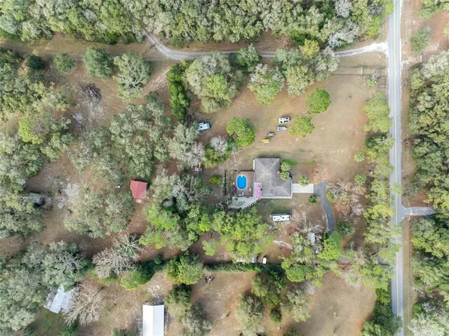 a picture of flowers