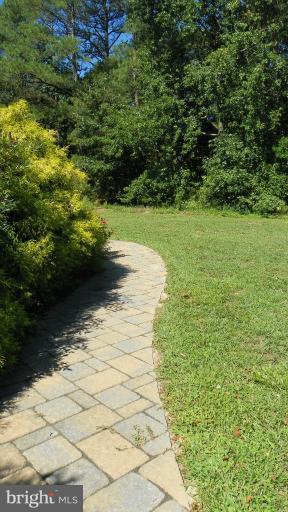 5807 Wheatley Church Road Rhodesdale, MD 21659 - Photo 5 of 24 Exterior (General)