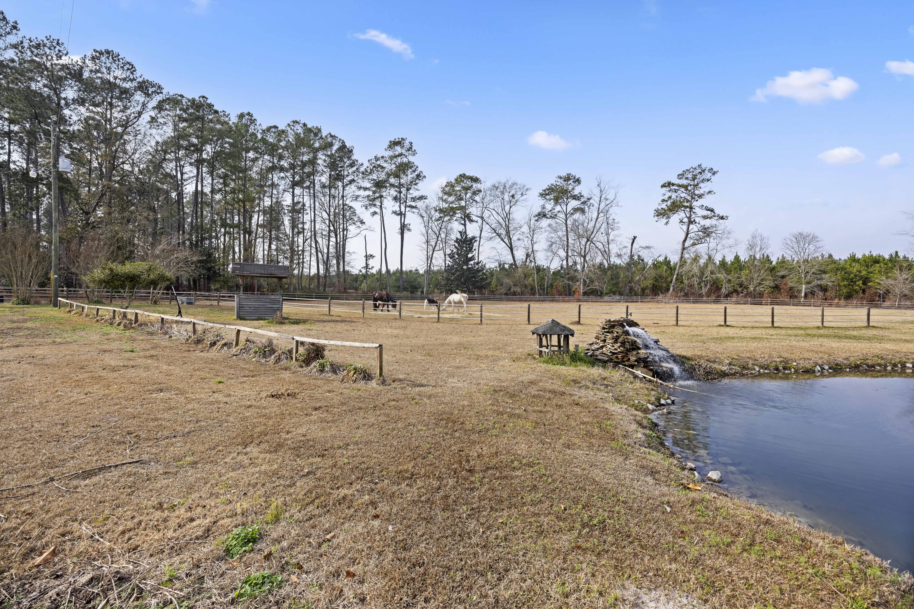 6293 Ehrhardt Road Ehrhardt, SC 29081 - Photo 49 of 58 Additional Pond & Grounds