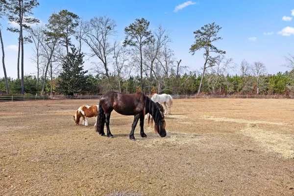 $565,000 | 6293 Ehrhardt Road, Ehrhardt, SC 29081