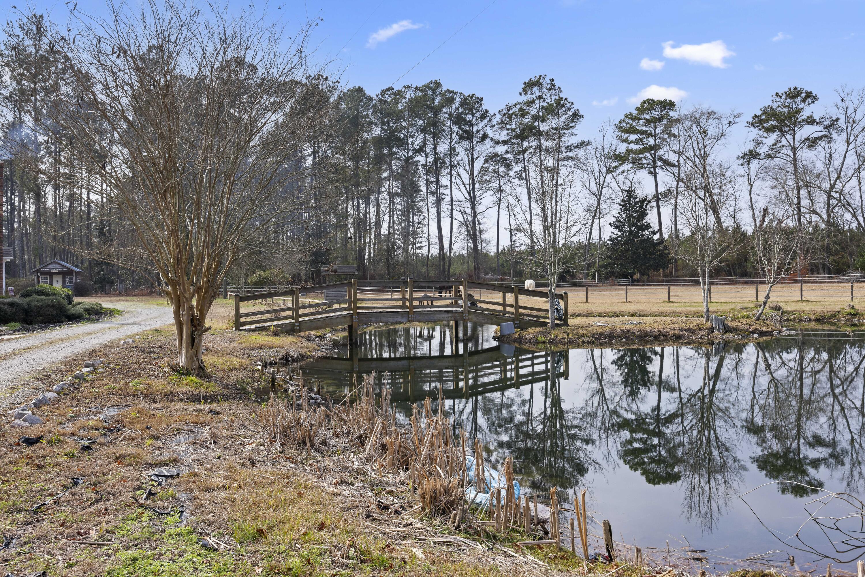 6293 Ehrhardt Road Ehrhardt, SC 29081 - Photo 5 of 58 Pond with Dock