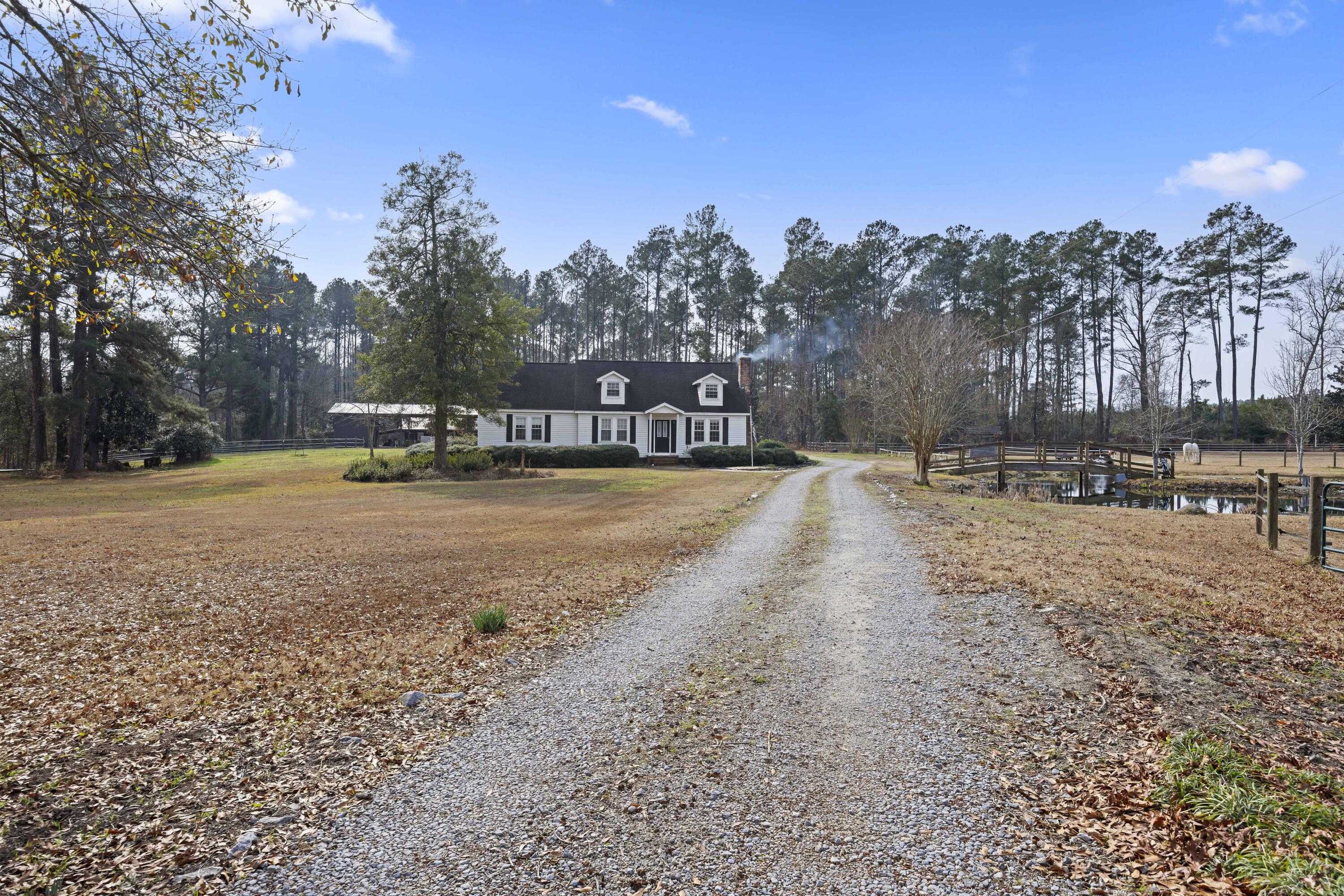6293 Ehrhardt Road Ehrhardt, SC 29081 - Photo 58 of 58 Private Driveway & Pasture View