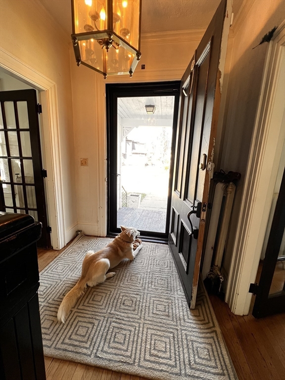 186 Buckingham Street Springfield, MA 01109 - Photo 2 of 42